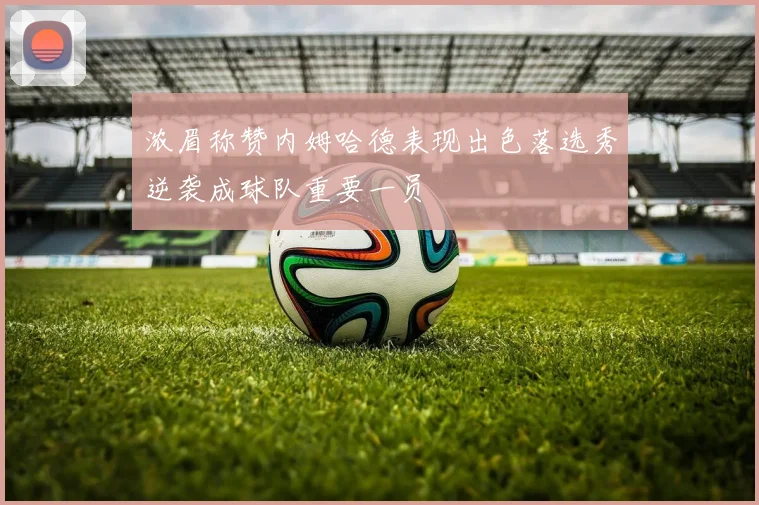 浓眉称赞内姆哈德表现出色落选秀逆袭成球队重要一员