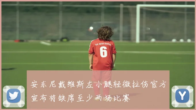 安东尼戴维斯左小腿轻微拉伤官方宣布将缺席至少两场比赛