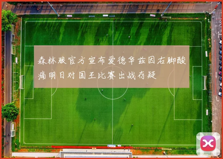 森林狼官方宣布爱德华兹因右脚酸痛明日对国王比赛出战存疑