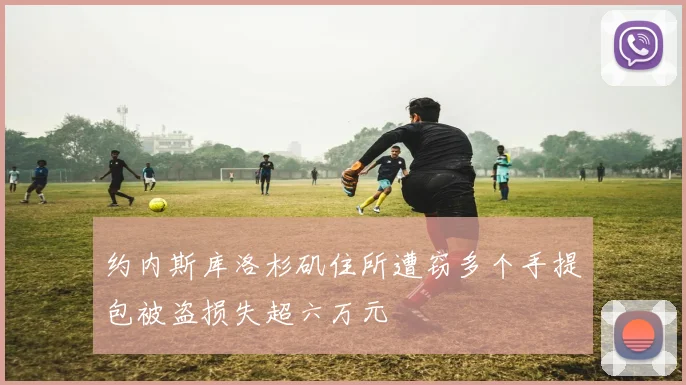 约内斯库洛杉矶住所遭窃多个手提包被盗损失超六万元