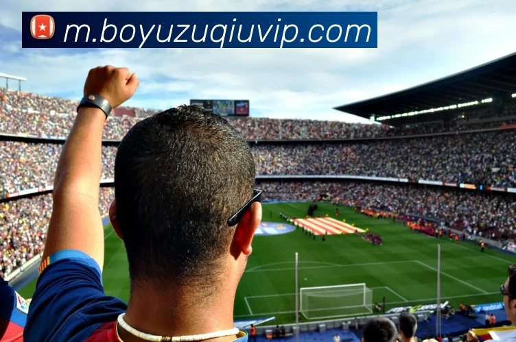 多媒体互动体验