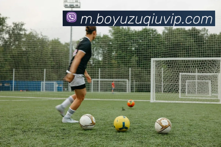 博鱼体育APP 高清赛事图