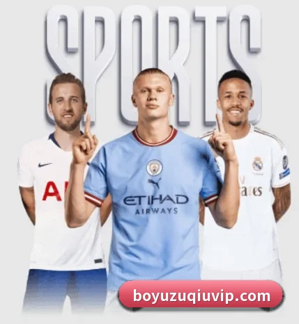 博鱼体育的方向 - BOYUSPORTS